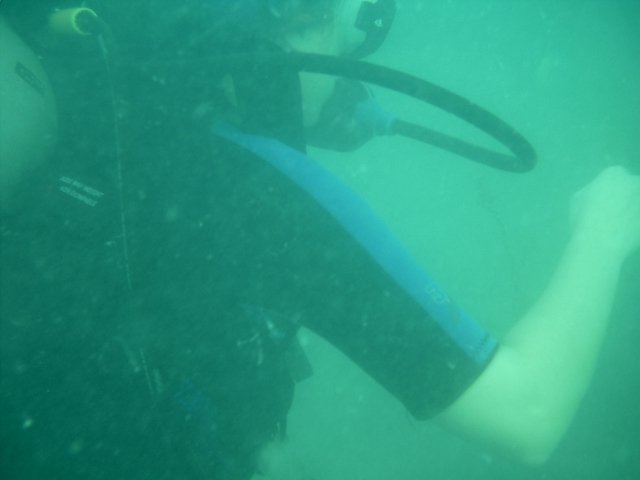 IMAG0005